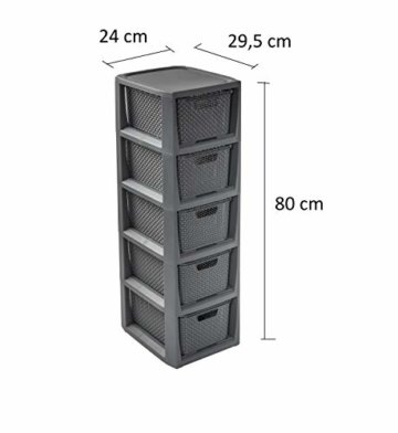BranQ - Home essential Regal in Rattan Design, BPA-freie Kunststoff PP, Anthrazit, 29,5 x 24 x 80 cm, 5 Körben - 2